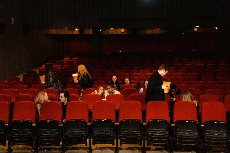 movie-theatre-seat-covers